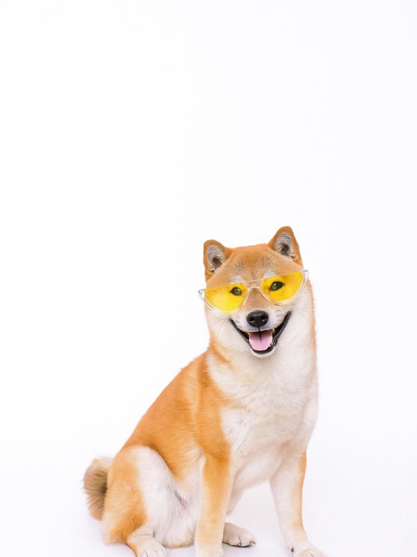 e514b857-a537-4bd3-aa49-8ad8ac26a700